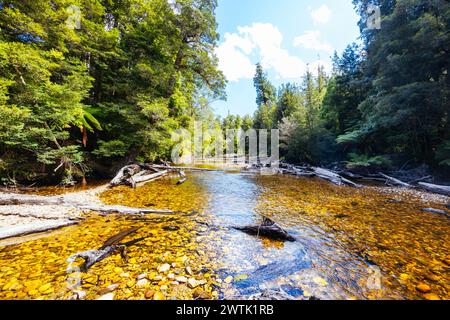 STYX VALLEY, AUSTRALIEN - 20. FEBRUAR 2024: Landschaft des Styx River im Styx Valley bei Maydena im Southwest National Park, Tasmanien, Aust Stockfoto