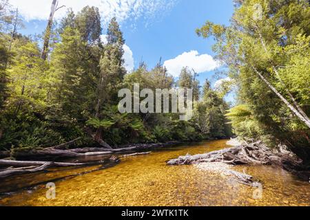 STYX VALLEY, AUSTRALIEN - 20. FEBRUAR 2024: Landschaft des Styx River im Styx Valley bei Maydena im Southwest National Park, Tasmanien, Aust Stockfoto