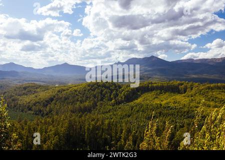 STYX VALLEY, AUSTRALIEN - 20. FEBRUAR 2024: Landschaft des Styx River im Styx Valley bei Maydena im Southwest National Park, Tasmanien, Aust Stockfoto