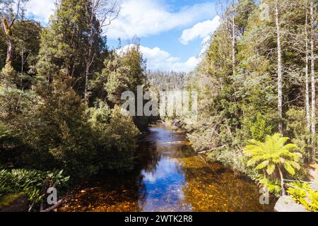 STYX VALLEY, AUSTRALIEN - 20. FEBRUAR 2024: Landschaft des Styx River im Styx Valley bei Maydena im Southwest National Park, Tasmanien, Aust Stockfoto