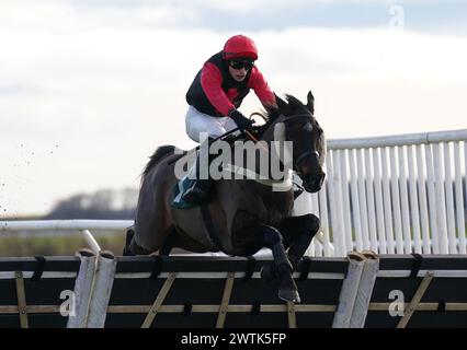 Aktenfoto vom 03.02.2023 von Prairie Wolf, der auf seinem beeindruckenden Sieg beim letzten Mal aufbauen kann, als er in der Maximum Eco for Biotechnology Novices' Limited Handicap Chase at Haydock wieder ins Spiel kommt. Ausgabedatum: Montag, 18. März 2024. Stockfoto