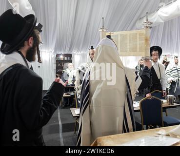 Nach einer Lesung an Wochentagen wird eine Tora erhoben und der Gemeinde gezeigt. Der nächste Schritt ist es, es in die Heilige Arche zurückzubringen. In einer Synagoge im Rockland County. Stockfoto