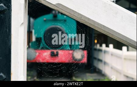 Spinnennetz in einem Zaun mit einer Dampfeisenbahn Stockfoto