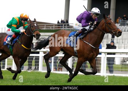 Arizona Blaze wurde von Jockey David Egan (rechts) auf dem Weg zum Sieg des Castle Star & Alkumait Standing im Capital Stud Irish EBF Maiden mit Rowdy Yeats, der von Jockey Colin Keane als zweiter während der St. St. Patrick's Festival Race Day auf der Rennbahn Curragh, County Kildare. Bilddatum: Montag, 18. März 2024. Stockfoto