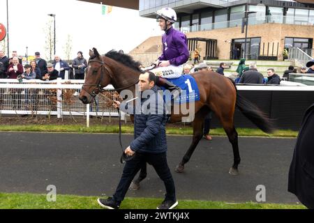 Arizona Blaze wurde von Jockey David Egan geritten, nachdem er den Castle Star & Alkumait Standing auf dem Capital Stud Irish EBF Maiden während St. Patrick's Festival Race Day auf der Rennbahn Curragh, County Kildare. Bilddatum: Montag, 18. März 2024. Stockfoto