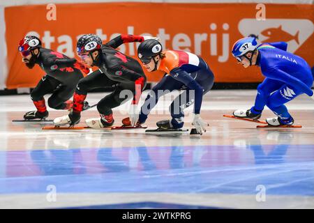 DANDJINOU William CAN, van 'T WOUT Jens NED und DUBOIS Steven KÖNNEN am 3. Tag bei der World Short Track Speed Skating Championship von Rotterdam am 17. März 2024 um die Führung in den 1000 m wetteifern. Foto von Phil Hutchinson. Nur redaktionelle Verwendung, Lizenz für kommerzielle Nutzung erforderlich. Keine Verwendung bei Wetten, Spielen oder Publikationen eines einzelnen Clubs/einer Liga/eines Spielers. Quelle: UK Sports Pics Ltd/Alamy Live News Stockfoto