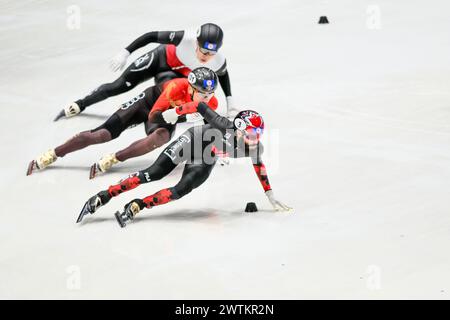 DUBOIS Steven CAN führt LIU Shaolin CHN an, der am 17. März 2024 in Rotterdam in der 1000-m-Weltmeisterschaft teilnahm. Foto von Phil Hutchinson. Nur redaktionelle Verwendung, Lizenz für kommerzielle Nutzung erforderlich. Keine Verwendung bei Wetten, Spielen oder Publikationen eines einzelnen Clubs/einer Liga/eines Spielers. Quelle: UK Sports Pics Ltd/Alamy Live News Stockfoto