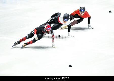 DUBOIS Steven KANN am 17. März 2024 im Finale der 1000-m-Meisterschaft von Rotterdam antreten. Foto von Phil Hutchinson. Nur redaktionelle Verwendung, Lizenz für kommerzielle Nutzung erforderlich. Keine Verwendung bei Wetten, Spielen oder Publikationen eines einzelnen Clubs/einer Liga/eines Spielers. Quelle: UK Sports Pics Ltd/Alamy Live News Stockfoto