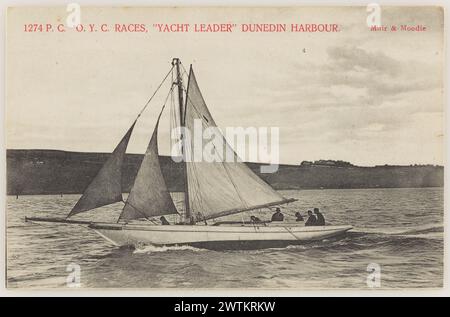 Otago Yachting Club Races, Yachtführer, Dunedin Harbour Fotopostkarten Stockfoto