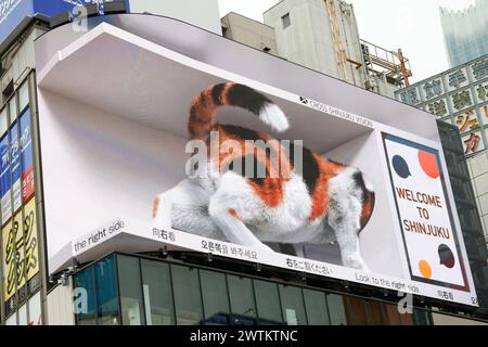 DIGITALE REKLAMETAFELN MIT REALISTISCHER, RIESIGER 3D-CAT VERBLÜFFEN DIE ZUSCHAUER IN TOKIO Stockfoto