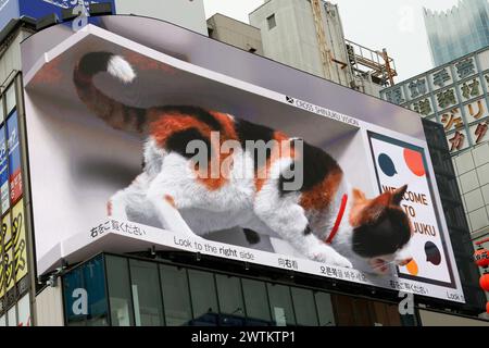 DIGITALE REKLAMETAFELN MIT REALISTISCHER, RIESIGER 3D-CAT VERBLÜFFEN DIE ZUSCHAUER IN TOKIO Stockfoto