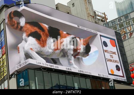 DIGITALE REKLAMETAFELN MIT REALISTISCHER, RIESIGER 3D-CAT VERBLÜFFEN DIE ZUSCHAUER IN TOKIO Stockfoto