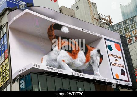 DIGITALE REKLAMETAFELN MIT REALISTISCHER, RIESIGER 3D-CAT VERBLÜFFEN DIE ZUSCHAUER IN TOKIO Stockfoto