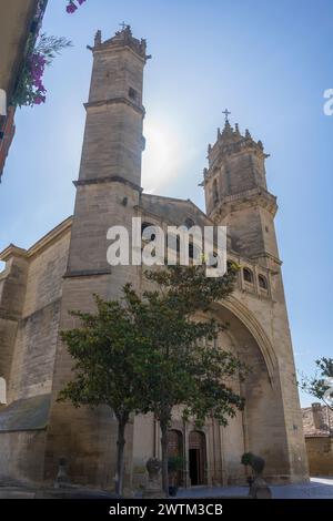 Die Kirche San Andres Eliza befindet sich im mittelalterlichen Dorf Elciego. Ein großes Steingebäude mit einem Kreuz auf der Spitze, umgeben von Bäumen. Stockfoto