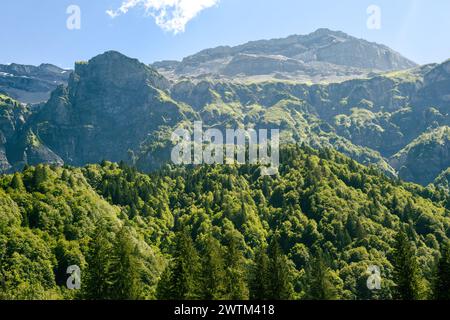 Wald- und Berglandschaft in einem hohen Winkel mit Blick über die Baumspitzen bis zum Gipfel Stockfoto