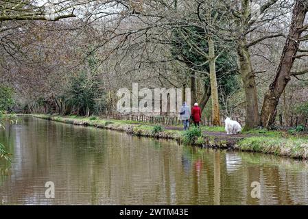 Ein älteres Ehepaar, das an einem Wintertag in Surrey England UK einen großen weißen Hund auf dem Schleppweg am River Wey Schifffahrtskanal bei Byfleet spaziert Stockfoto