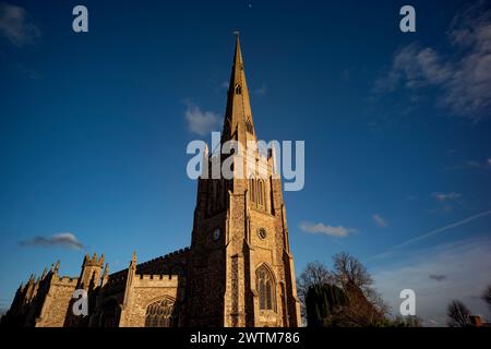 Thaxted Church Thaxted Essex England. 17 März 2024 die Kirche St. Johannes der Täufer, unsere Lieben Frau und der Hl. Laurence im späten Nachmittagssonnenlicht. Stockfoto