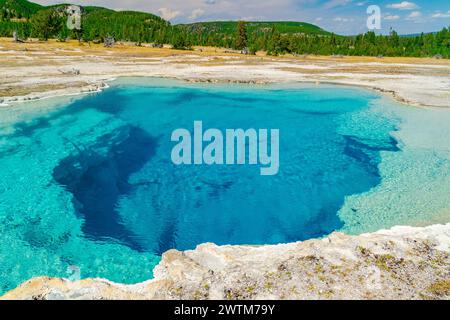 Ein Geysir im Yellowstone-Nationalpark Stockfoto