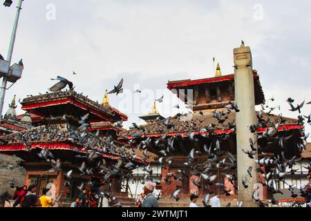 Kathmandu, Nepal - 13. Mai 2017 - Tauben fliegen am geschäftigen Durbar Square, Wahrzeichen der Innenstadt mit historischen Holzmandaps, Pavillions und Tempel Stockfoto