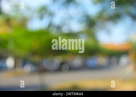 Unscharfer Hintergrund durch grüne Bäume, Sonnenlicht und Straße Stockfoto