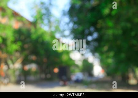 Unscharfer Hintergrund durch grüne Bäume, Sonnenlicht und Straße Stockfoto