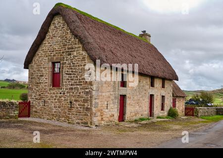 Northumberland Heidekraut überdachtes strohgedecktes Ferienhaus Stockfoto