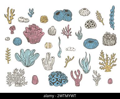 Korallenset. Meerespflanzen, Unterwasserflora, Algen. Vektorsatz Stock Vektor