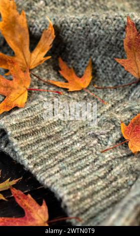 Herbstkomposition. Gestricktes Karo oder Schal und gefallene Blätter auf dunkelgrauem Hintergrund. Hallo Herbst, gemütliche Atmosphäre. Flache Ladefläche, Kopierraum Stockfoto