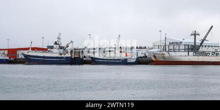 Reykjavik, Island - 4. April 2017: Panoramablick auf den Hafen von Reykjavik mit angelegten Fischereischiffen Stockfoto
