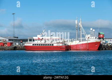 Reykjavik, Island - 4. April 2017: Hafsulan Passagierschiffe zur Walbeobachtung liegt im Hafen von Reykjavik in der Nähe von Fischerbooten Stockfoto
