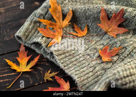 Herbstkomposition. Gestricktes Karo oder Schal und gefallene Blätter auf dunkelgrauem Hintergrund. Hallo Herbst, gemütliche Atmosphäre. Flache Lagen Stockfoto