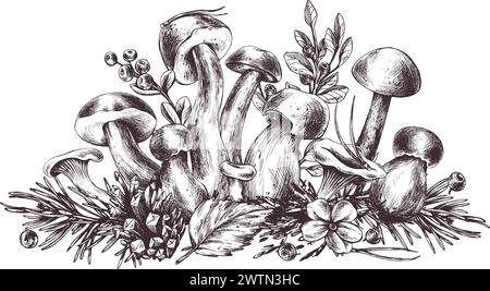 Waldpilze, Boletus, Pfifferlingen und Heidelbeeren, Preiselbeeren, Zweige, Kegel, Blätter. Grafische botanische Illustration, handgezeichnet in brauner Tinte Stock Vektor