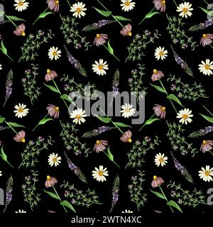 Aquarellmuster auf dunklem Hintergrund. Wiesengräser und Blumen Echinacea, Heidekraut, Kamille, Oregano handgezeichnet in Aquarellen. Stockfoto