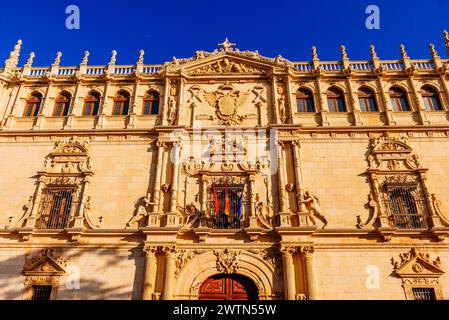 Detail-Plateresque-Fassade. Colegio Mayor de San Ildefonso. Universität Alcalá. Alcalá de Henares, Comunidad de Madrid, Spanien, Europa Stockfoto