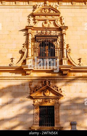 Fenster und allegorische Figuren. Detail-Plateresque-Fassade. Colegio Mayor de San Ildefonso - Saint Ildephonse College. Universität Alcalá. Alcalá de Stockfoto