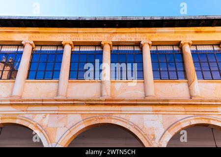 Details. Innenhof des historischen Gebäudes der Universität von Oviedo. Oviedo, Principado de Asturias, Spanien, Europa Stockfoto