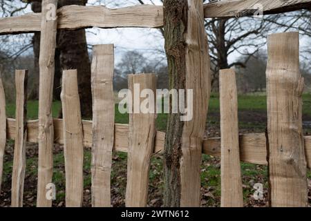 Split Oak Fechten, Charlecote, Warwickshire, England, Großbritannien Stockfoto
