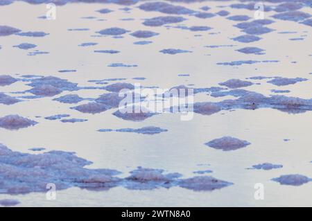 Kleine Salzhaufen in der Abenddämmerung in Salinas d’en Ferrer bei La Savina (Naturpark SES Salines, Formentera, Pityuses, Balearen, Spanien) Stockfoto