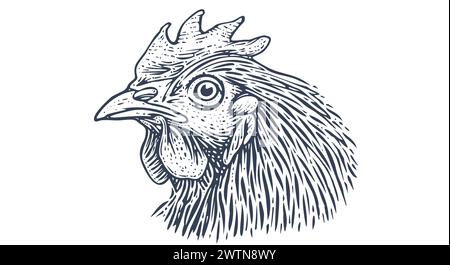 Huhn, Hühnerkopf. Vintage-Retro-Druck, Hühnchen-Sketch-Tinte Bleistiftzeichnung, Gravur Old School. Sketch-Kunstwerk Silhouette Kopf Huhn, weißer Hintergrund. Seitenansichtsprofil. Vektorabbildung Stock Vektor