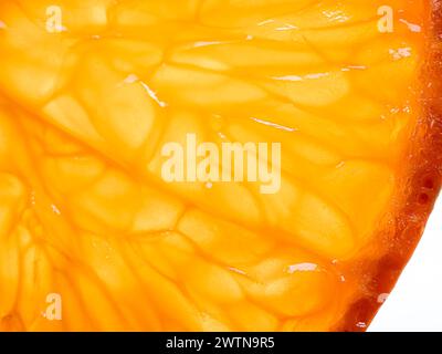 Mandarinenscheibe auf weißem Hintergrund. Nahaufnahme, Draufsicht Stockfoto
