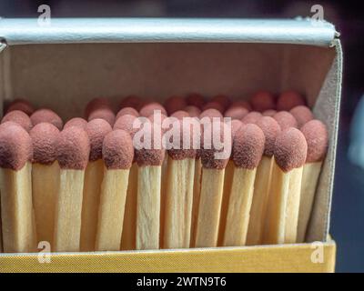 Köpfe aus Holzhölzern in einer offenen Streichholzschachtel. Nahaufnahme Stockfoto