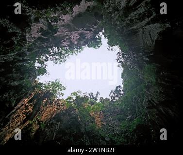 Malaysia. Selangor. Bezirk Gombak. Batu Caves Innenansicht der Himmelsöffnung. Stockfoto