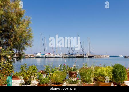 Segelyachten im Hintergrund und traditionelle Blumentöpfe im Vordergrund, an einem sonnigen Sommertag im kleinen Hafen von Pali auf der Insel Nisyros Stockfoto