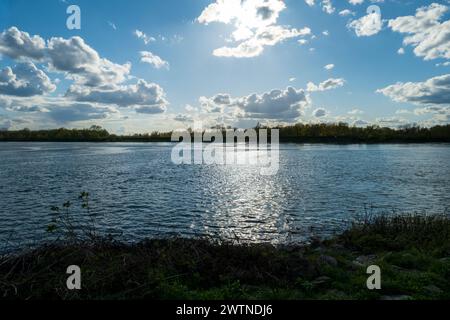 Blick nach Frankreich über den Rhein bei Iffezheim Stockfoto