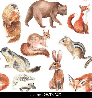 Niedliches Eichhörnchen, Murmeltier, Bär, Fuchs, Hase, Igel, Chipmunk. Kleine Waldtiere wiederholen nahtlose Muster. Aquarell Handmalabbildung. Idee Stockfoto