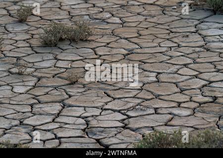 Das Konzept der globalen Erwärmung. Trockene Risse im Land, starke Wasserknappheit. Der Begriff der Dürre Stockfoto