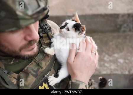 Ukrainischer Soldat mit streunender Katze draußen, Nahaufnahme Stockfoto