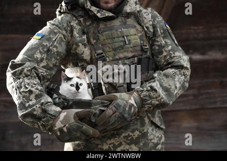 Ukrainischer Soldat rettet Tier. Kleine streunende Katze, die draußen im Helm sitzt, Nahaufnahme Stockfoto