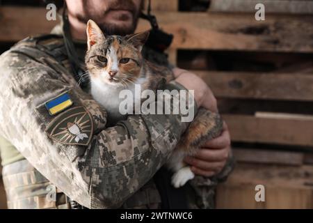 Ukrainischer Soldat mit streunender Katze draußen, Nahaufnahme Stockfoto