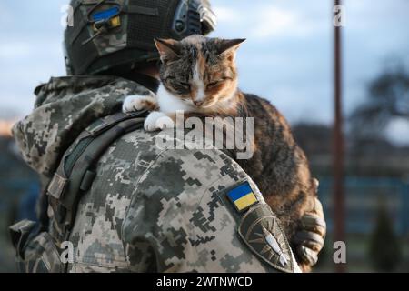 Kleine streunende Katze draußen auf der Schulter des ukrainischen Soldaten, Nahaufnahme Stockfoto